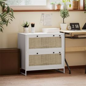 File Cabinet/ Storage cabinet ( Amazon Shipping)(Prohibited by WalMart)