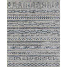 Chevron Coastal Boho Style Indoor Outdoor Area Rug (Color: Blue Grey, size: 2 Ft. X 3 Ft.)